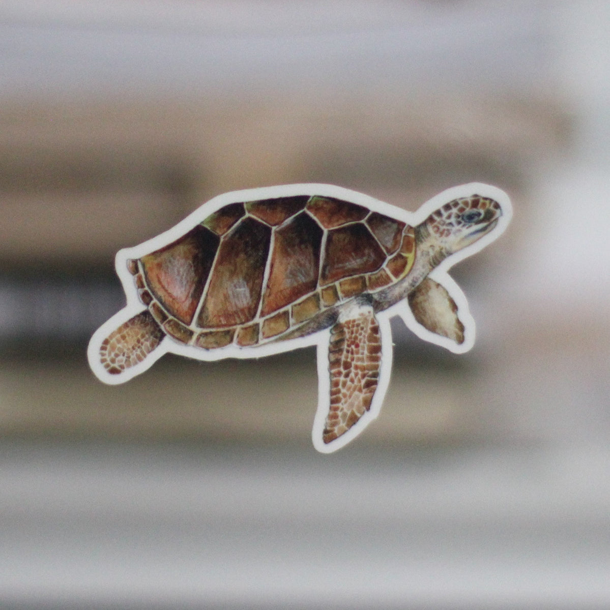 Loggerhead turtle sticker – Shantele Ianna Art
