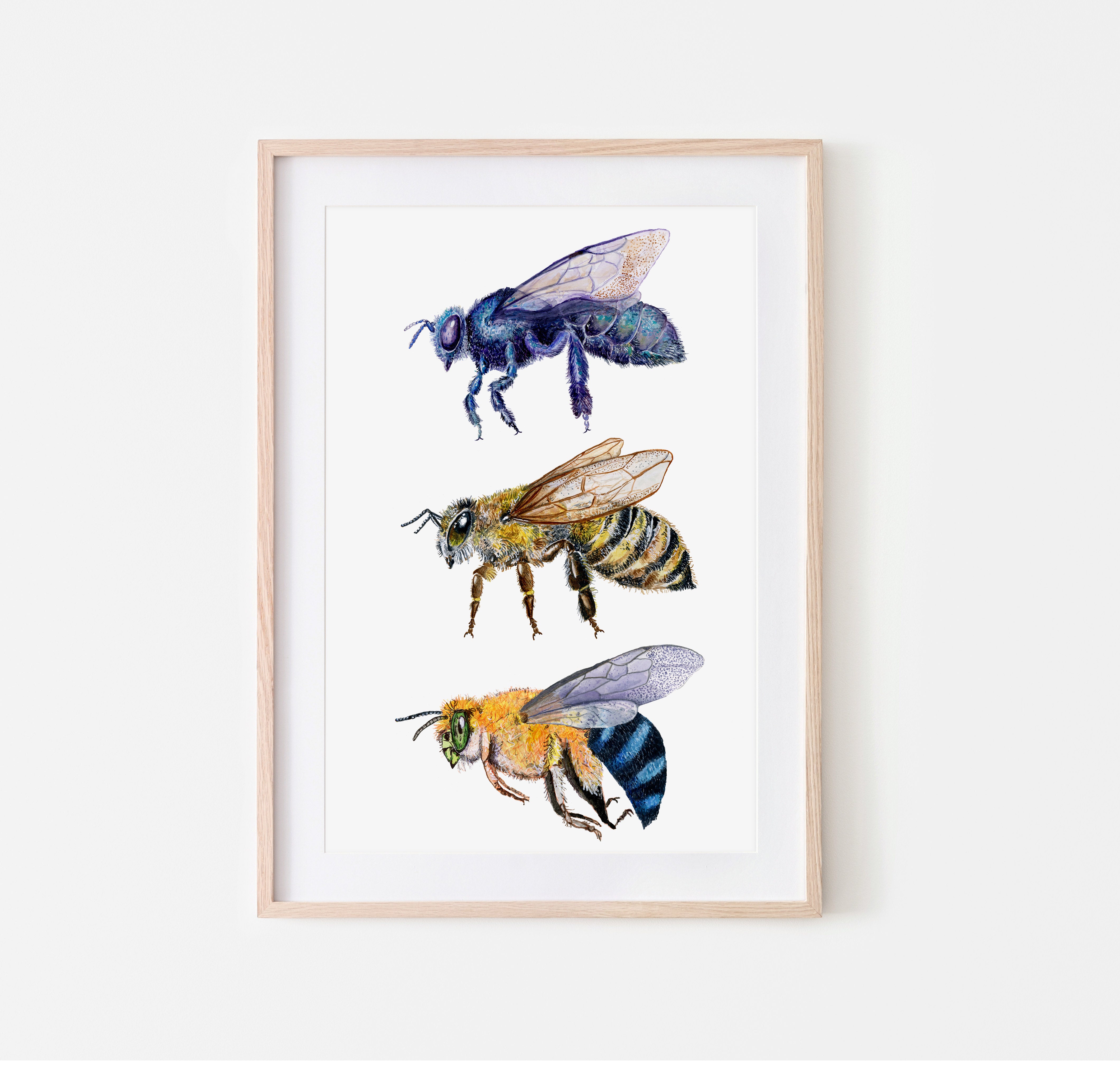 bee's nature study
